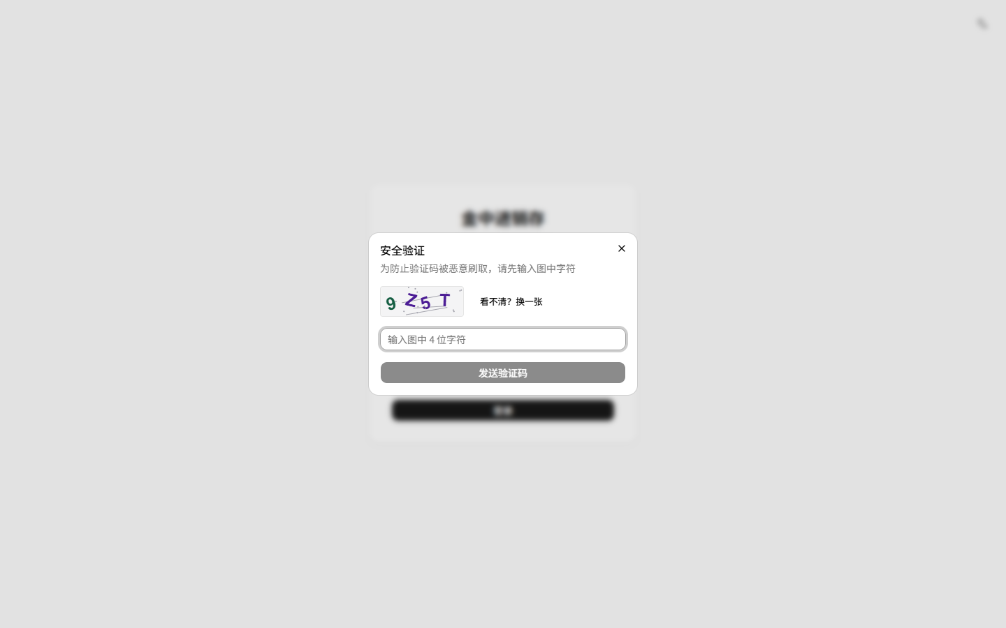 安全验证弹窗